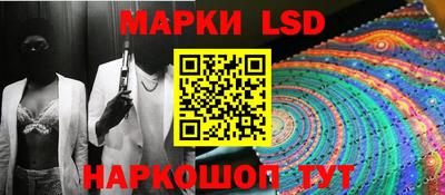 прущие грибы Будённовск