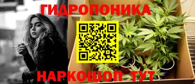 СК Волгодонск