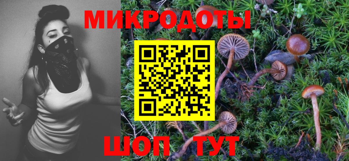 Псилоцибиновые грибы Cubensis  купить   Верхняя Салда  Галлюциногенные грибы ЛСД  Вход с VPN 
